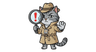 Mechanic Checklist